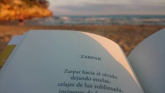 luis-vea_petroglifos